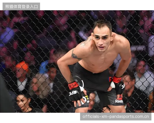 UFC十秒终结之谜：揭秘极速战斗背后的精彩技巧