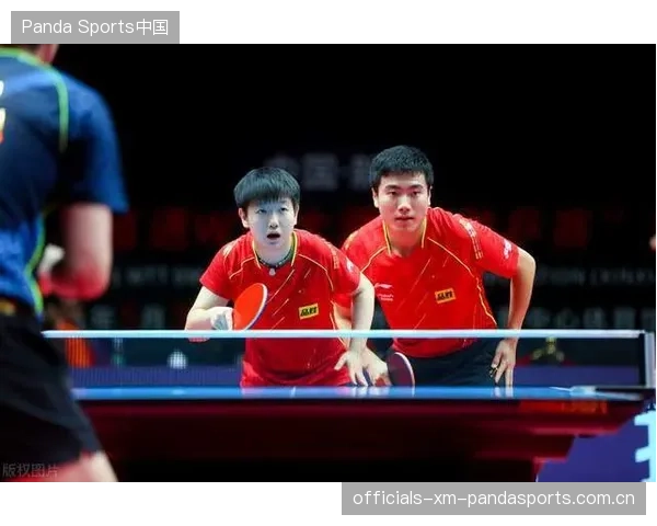 中国男篮：从“黑马”到“世界冠军”的全方位总结